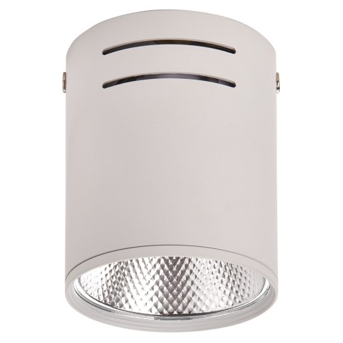 Светильник LED 1*10W потолочный спот Белый IL.0005.4015