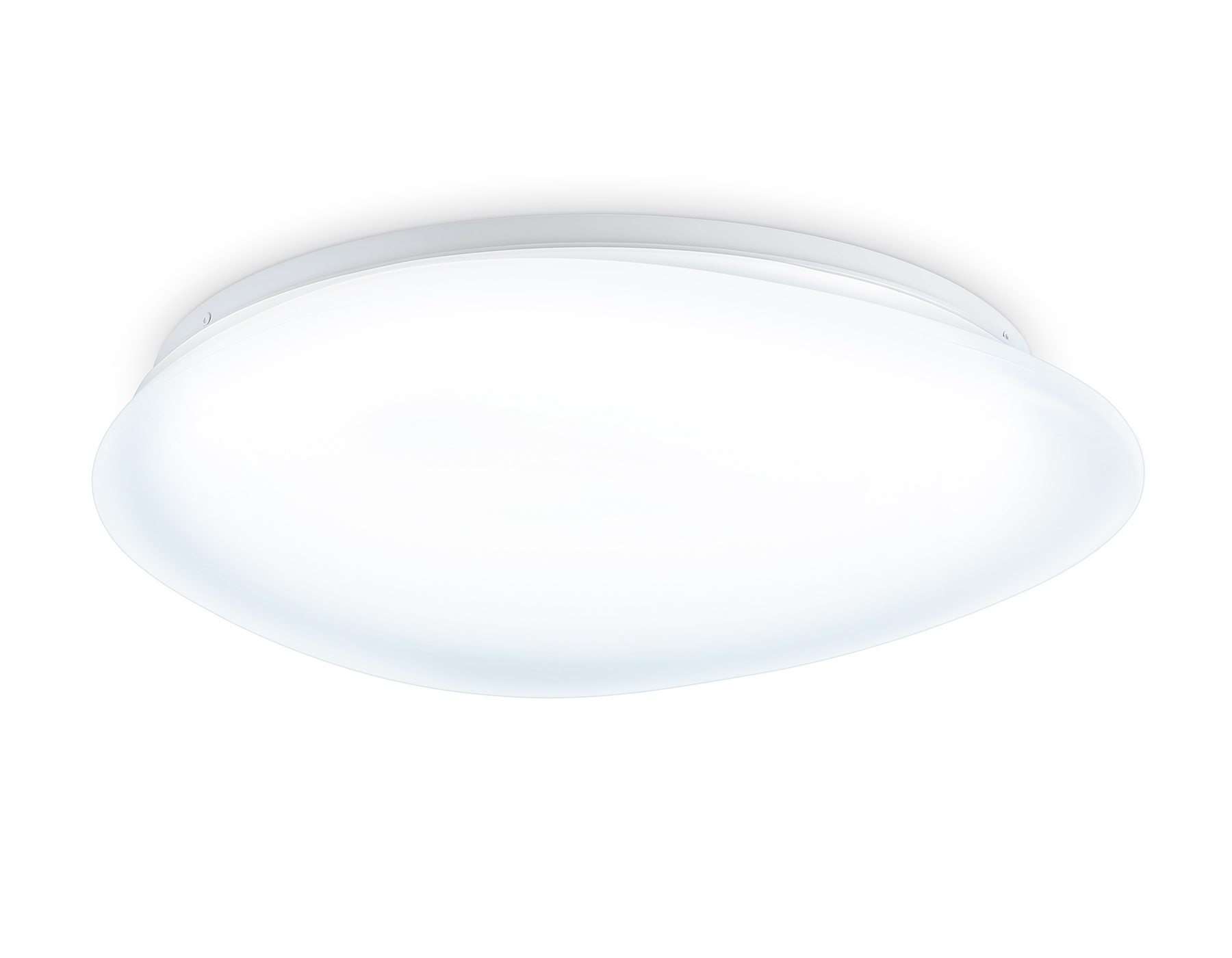 FZ1605 FR матовый IP20 60W 5000K 510*100 (Без ПДУ)