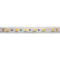 Светодиодная влагозащищенная лента DesignLed 14,4W/m 60LED/m 5050SMD теплый белый 5M 003350